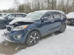 KIA salvage cars for sale: 2016 KIA Sorento ex