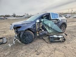 Tesla salvage cars for sale: 2023 Tesla Model y