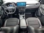 2023 Ford Escape st Line