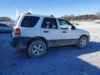 2005 Ford Escape xlt