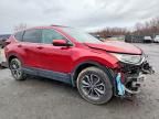 2022 Honda Cr-v exl