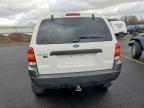 2003 Ford Escape xlt
