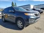 2013 KIA Sorento lx