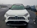 2019 Toyota Rav4 Hybrid xse