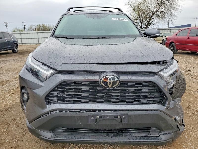 2025 Toyota Rav4 xle Premium