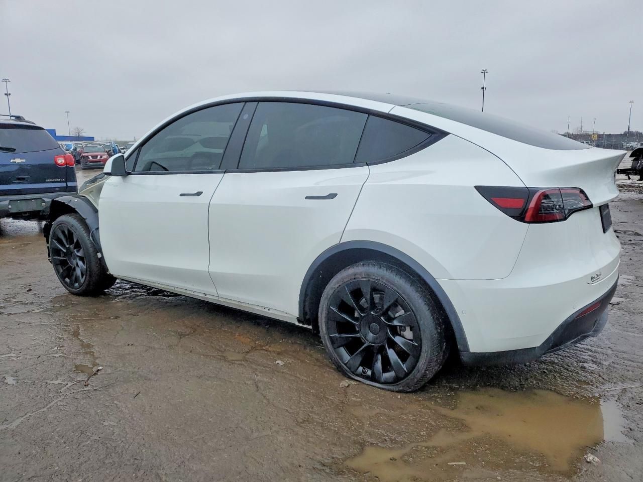 2021 Tesla Model y