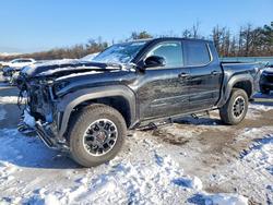 2025 Toyota Tacoma en venta en Brookhaven, NY