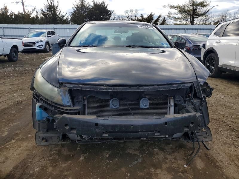 2010 Honda Accord exl