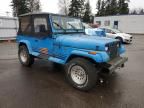 1990 Jeep Wrangler / yj Islander