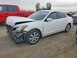 Honda Accord Vehiculos salvage en venta: 2010 Honda Accord exl