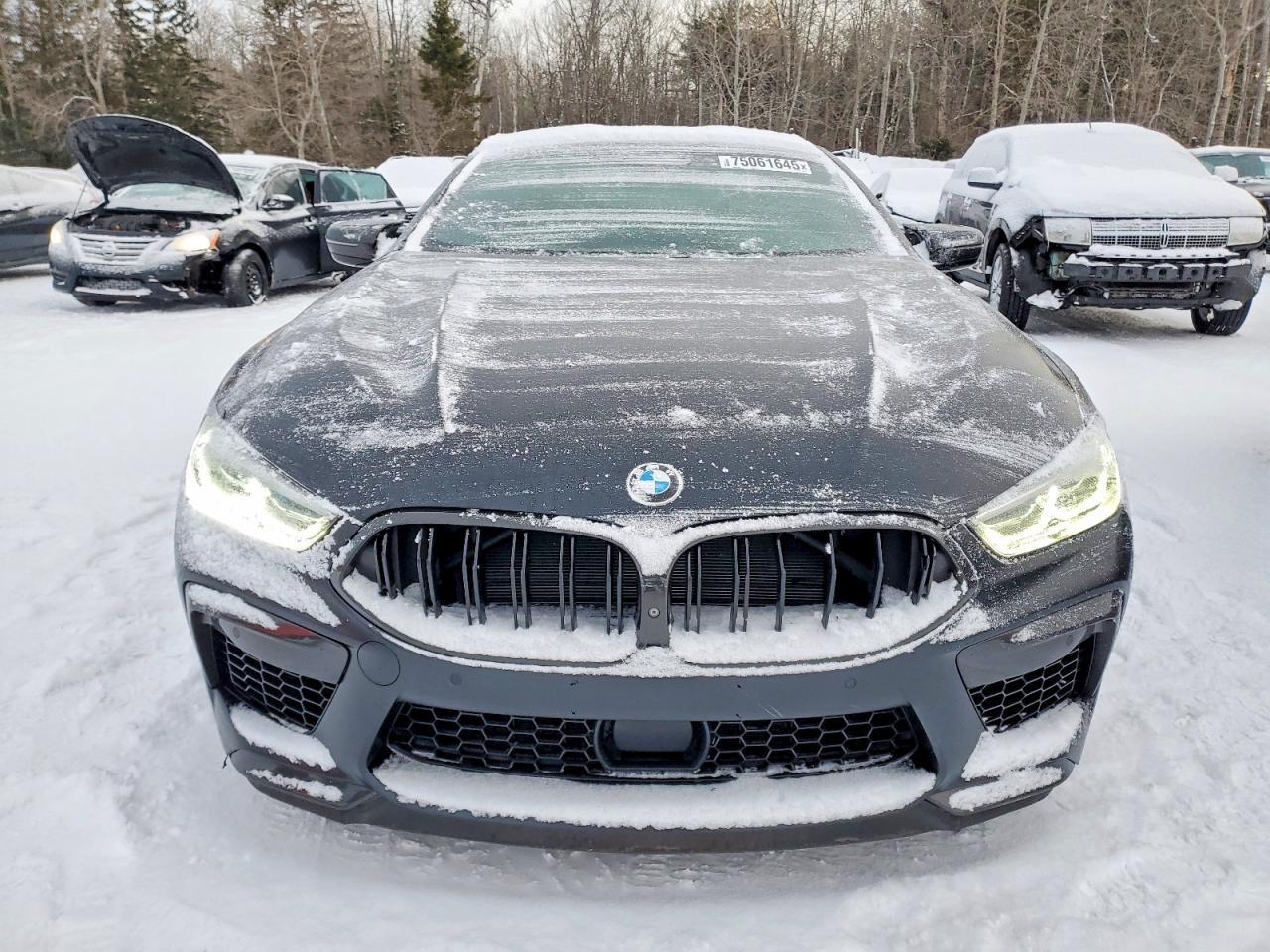 2020 BMW M8