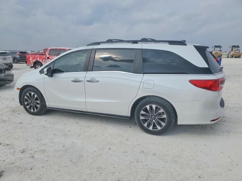2024 Honda Odyssey exl