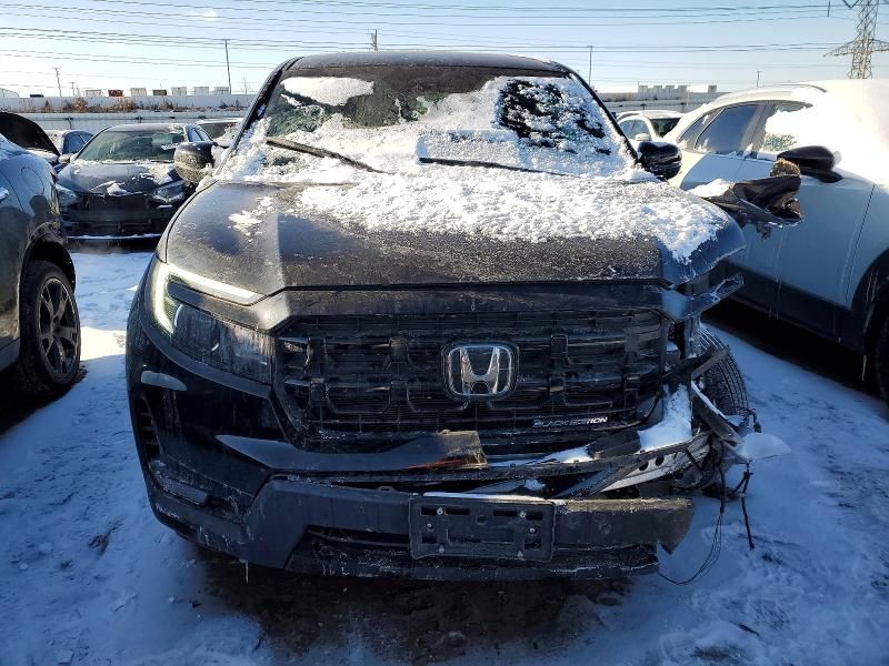 2024 Honda Ridgeline Black Edition