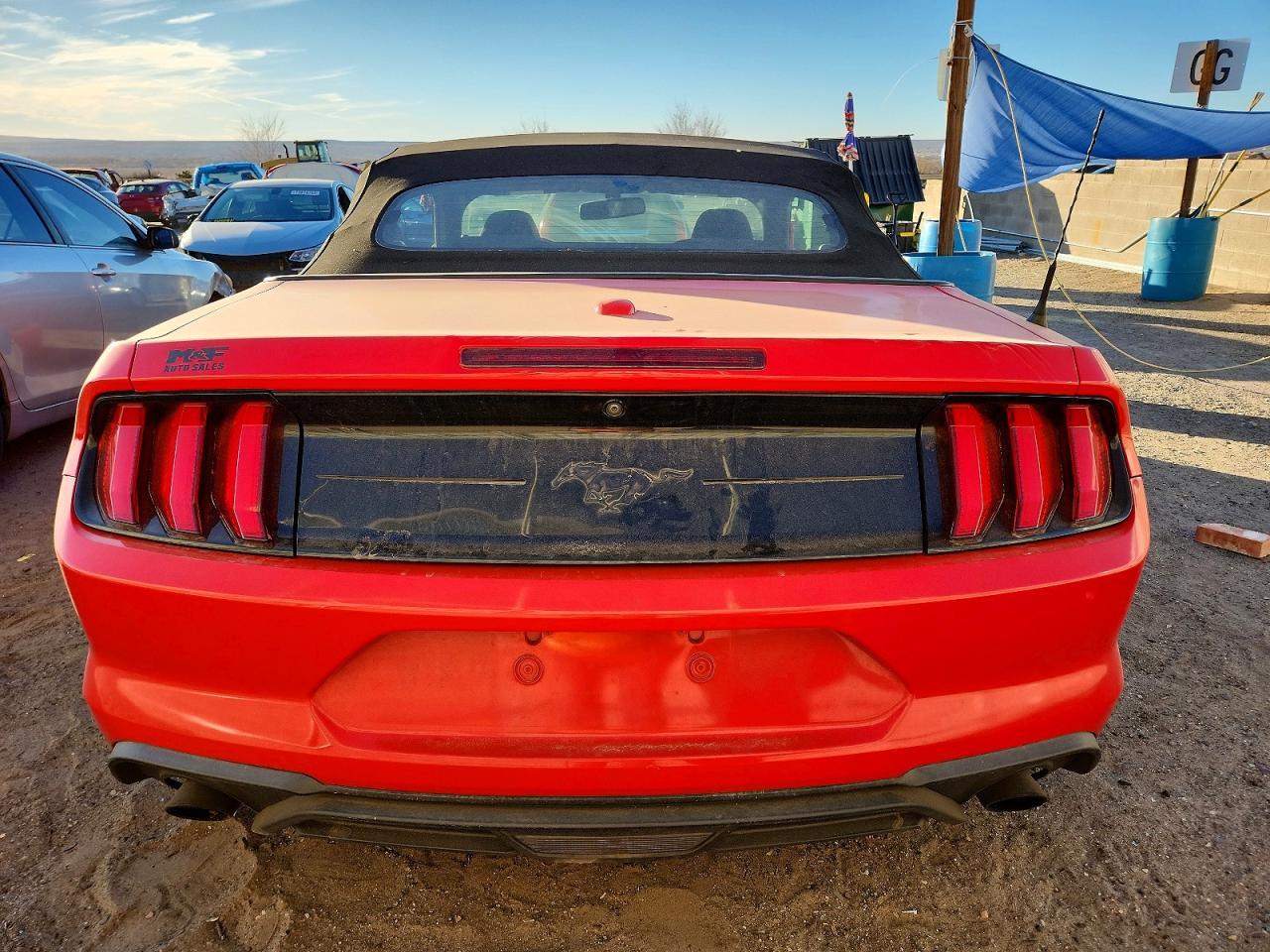 2019 Ford Mustang