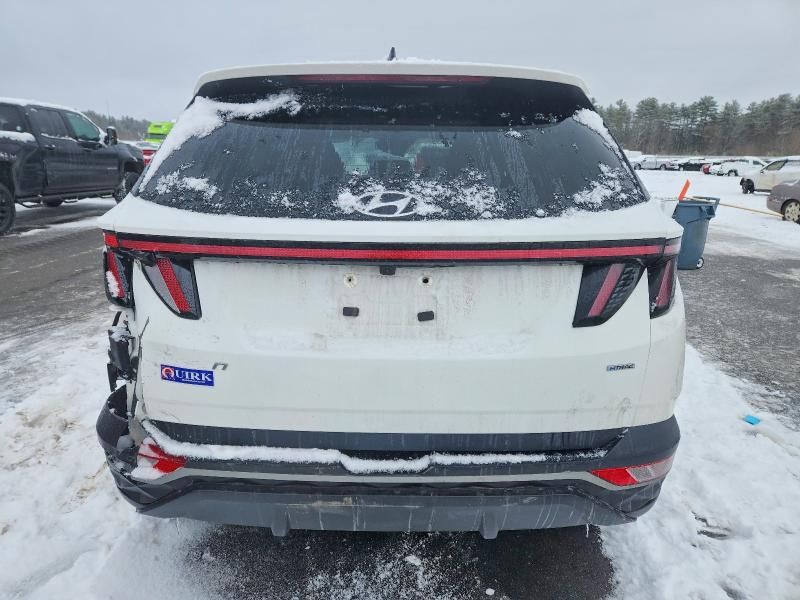 2024 Hyundai Tucson sel