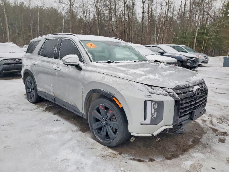 2024 Hyundai Palisade xrt