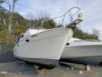 1993 Bayliner Boat-Boat