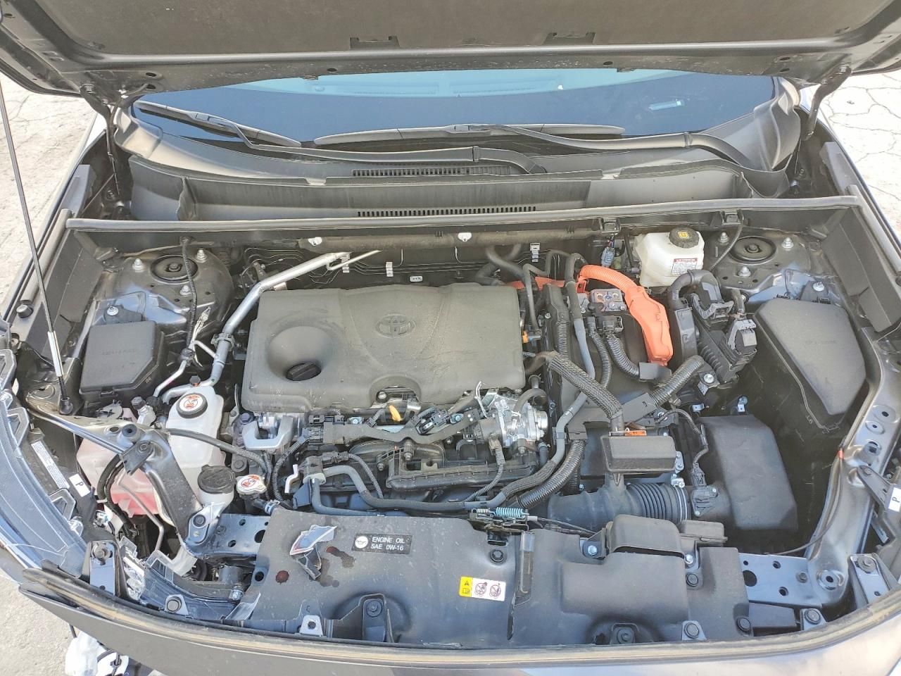 2024 Toyota Rav4 xse