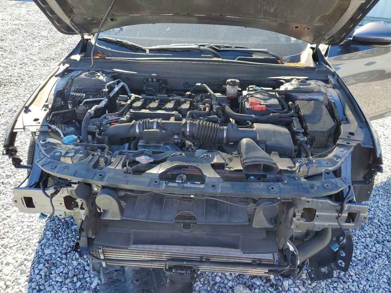 2019 Honda Accord lx