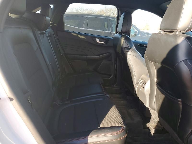 2024 Ford Escape st Line