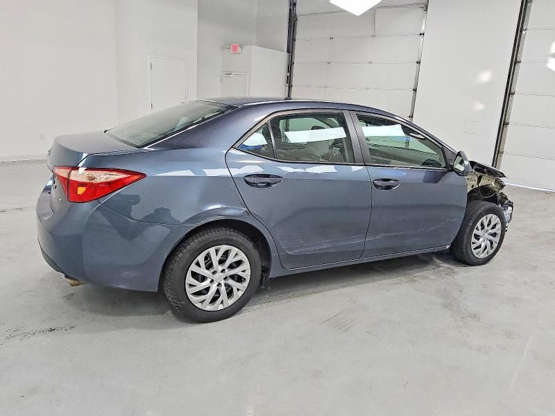 2019 Toyota Corolla l