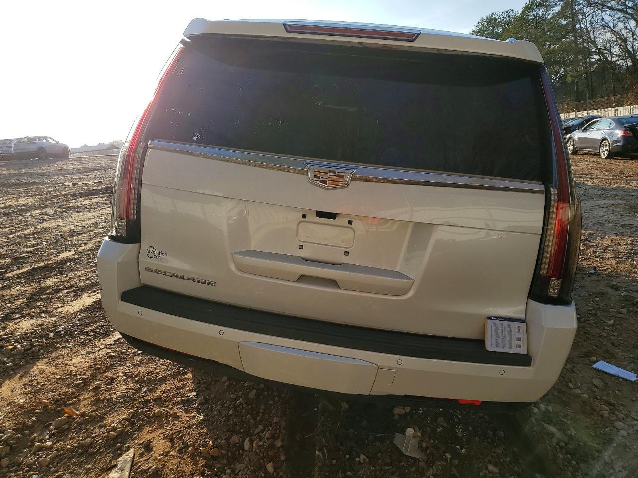 2020 Cadillac Escalade esv Platinum