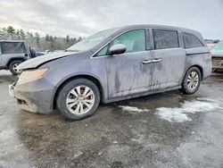 Honda Vehiculos salvage en venta: 2015 Honda Odyssey exl