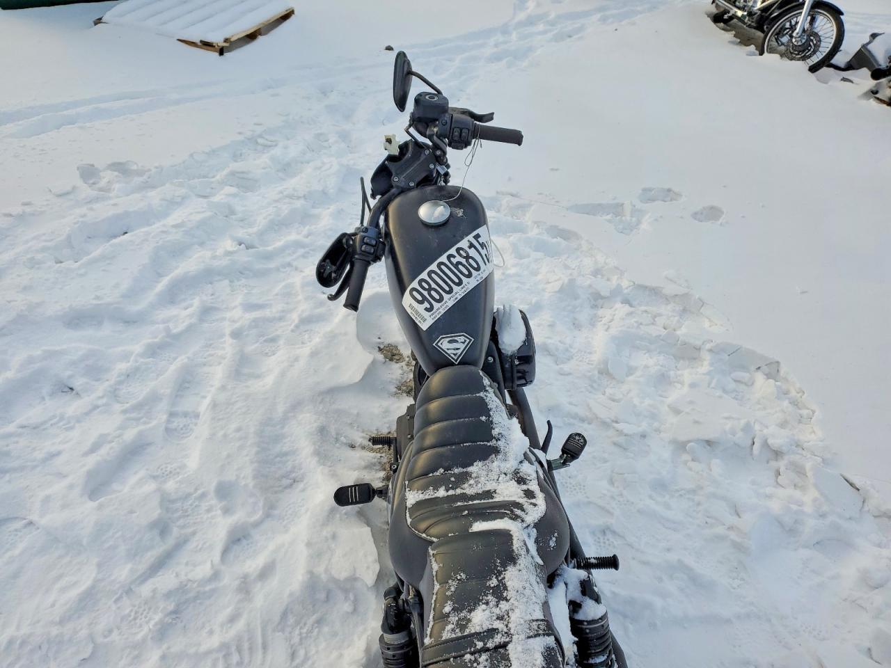 2021 Harley-Davidson Xl883 n