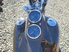 2014 Harley-Davidson Fxdl Dyna Low Rider