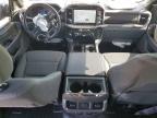 2025 Ford F150 XLT