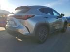 2025 Lexus Nx 350h Base