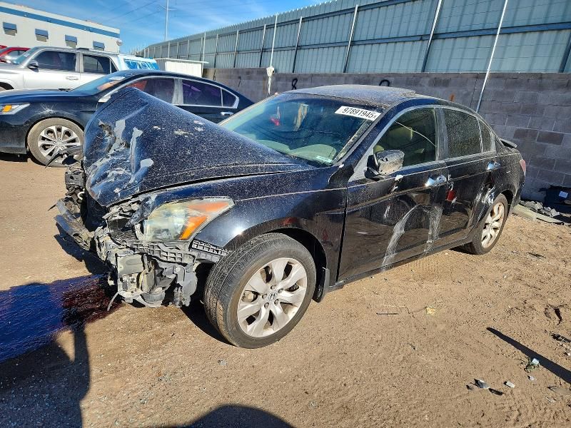 2008 Honda Accord exl