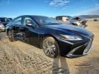 2025 Lexus Es 300