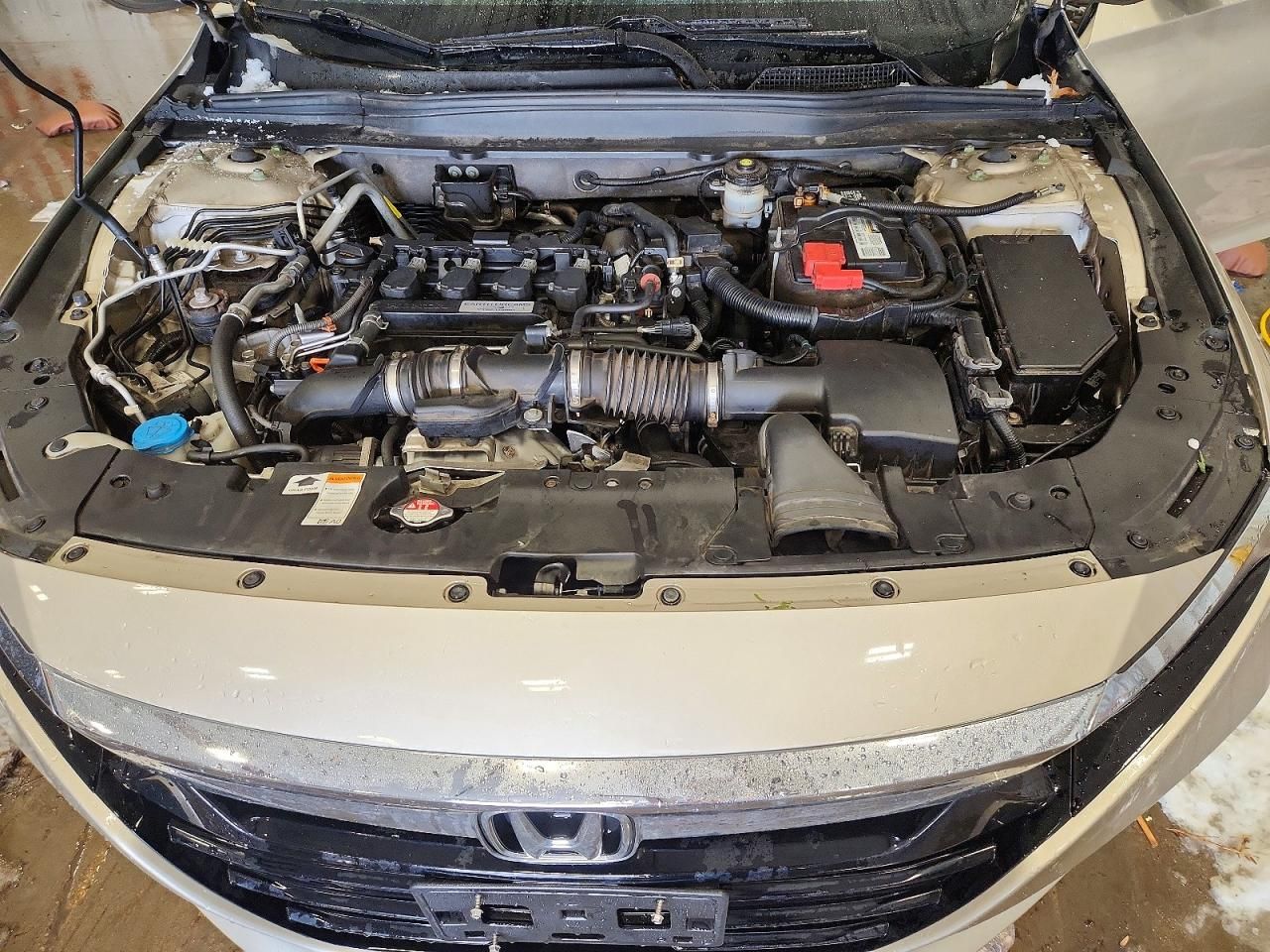 2019 Honda Accord ex