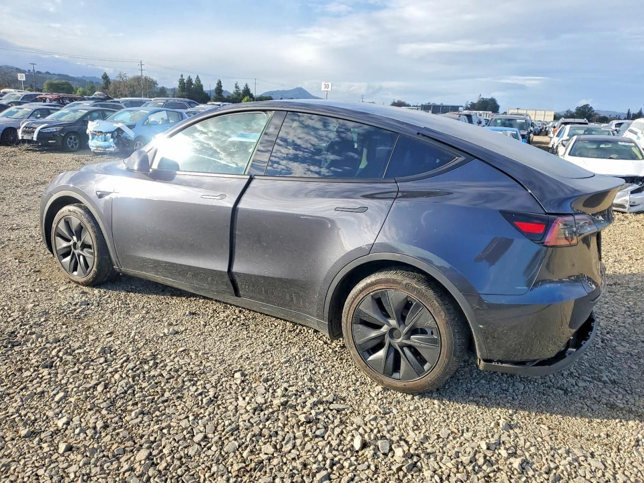 2025 Tesla Model y