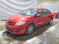 Toyota Corolla salvage cars for sale: 2011 Toyota Corolla Base