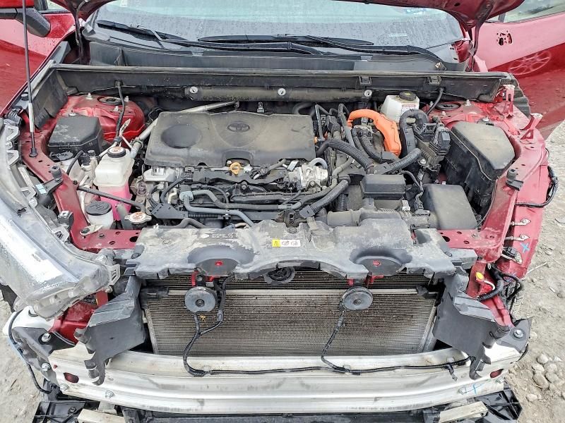 2024 Toyota Rav4 xle