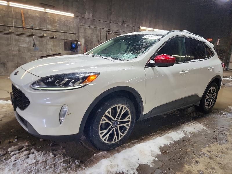 2020 Ford Escape sel