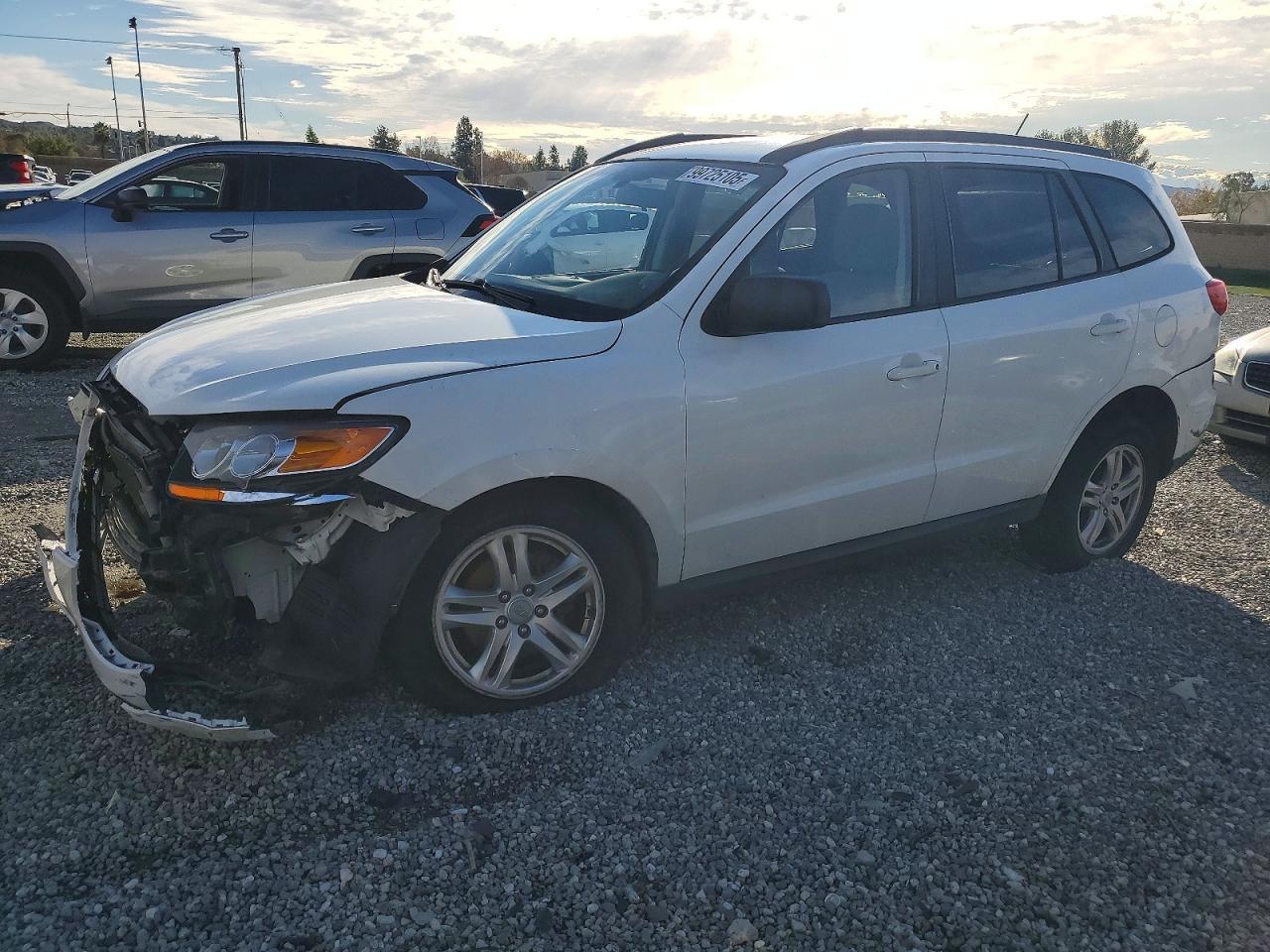 2010 Hyundai Santa fe gls
