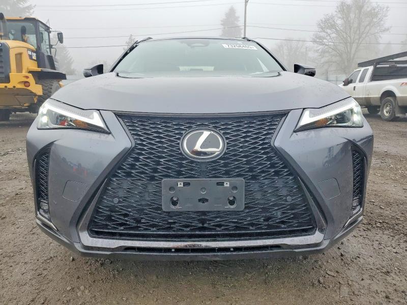 2025 Lexus Ux 300h f Sport Design