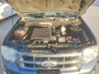 2010 Ford Escape