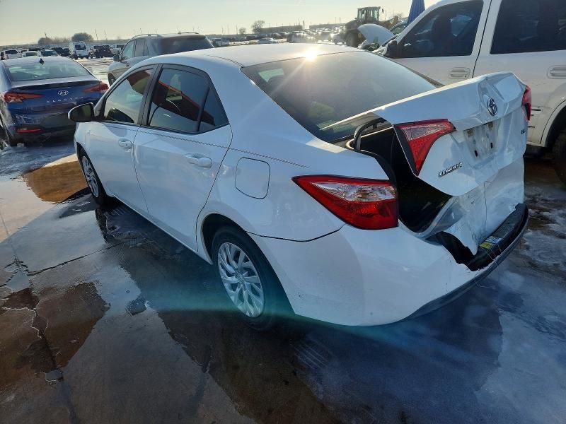 2019 Toyota Corolla l