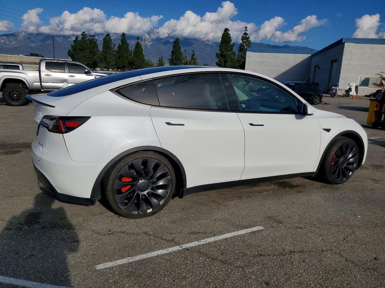 2024 Tesla Model y