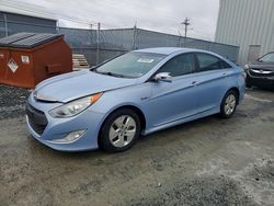 Hyundai Sonata Vehiculos salvage en venta: 2011 Hyundai Sonata Hybrid