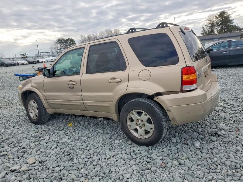 2007 Ford Escape Limited