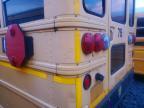 2010 Icrp 2010 IC Bus PB105 School Bus