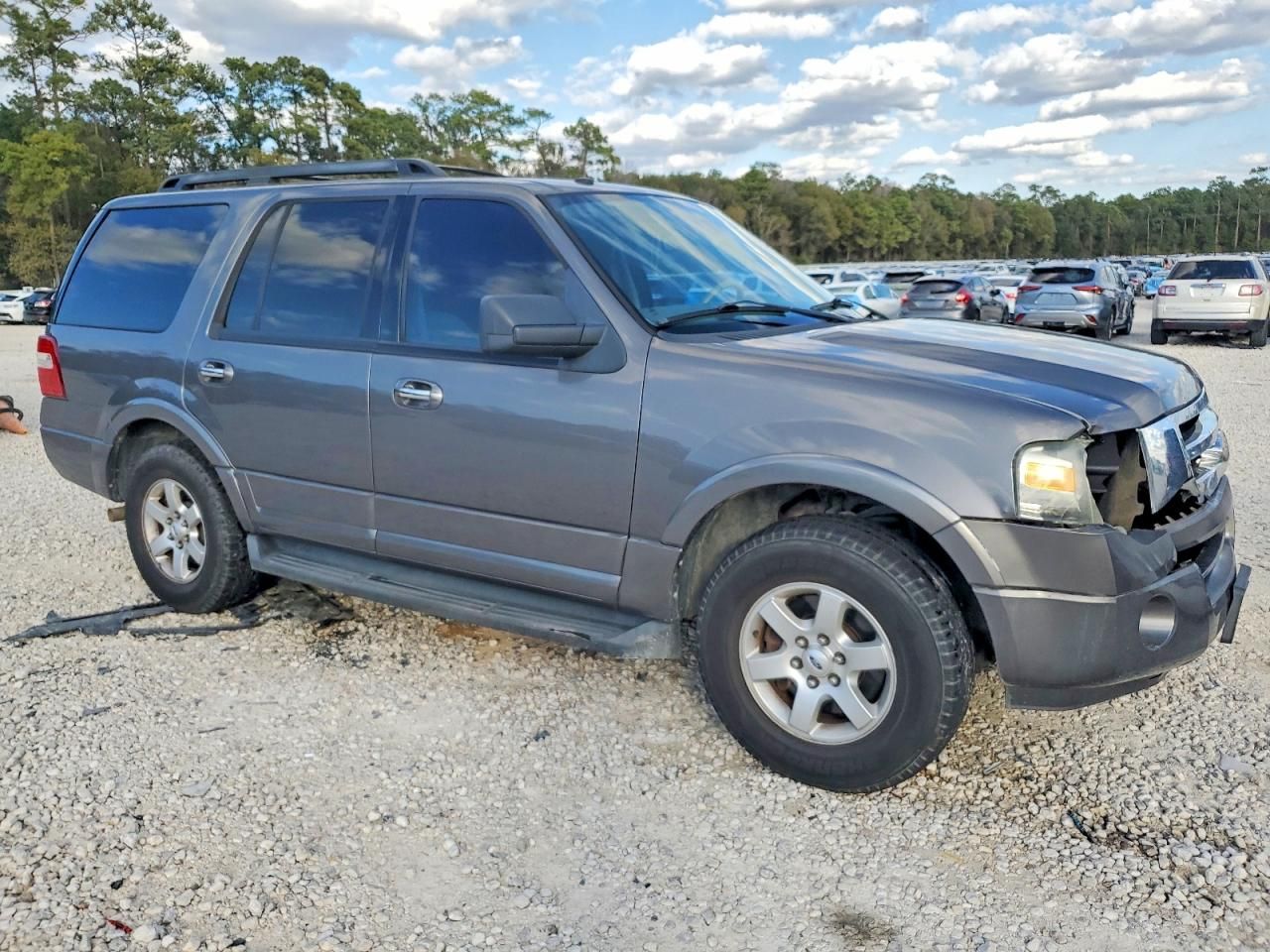 2010 Ford Expedition xlt