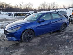 Hyundai Elantra salvage cars for sale: 2023 Hyundai Elantra sel
