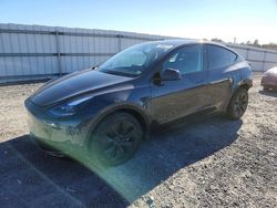Tesla salvage cars for sale: 2024 Tesla Model y