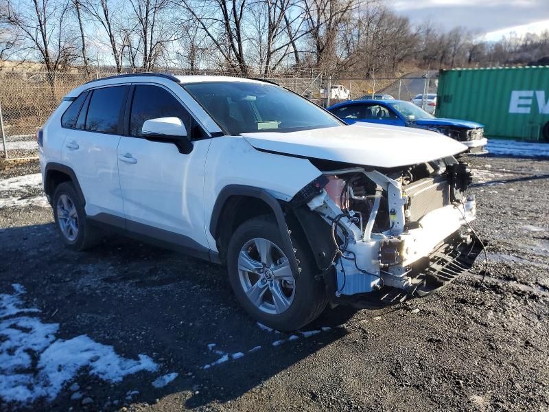 2025 Toyota Rav4 xle